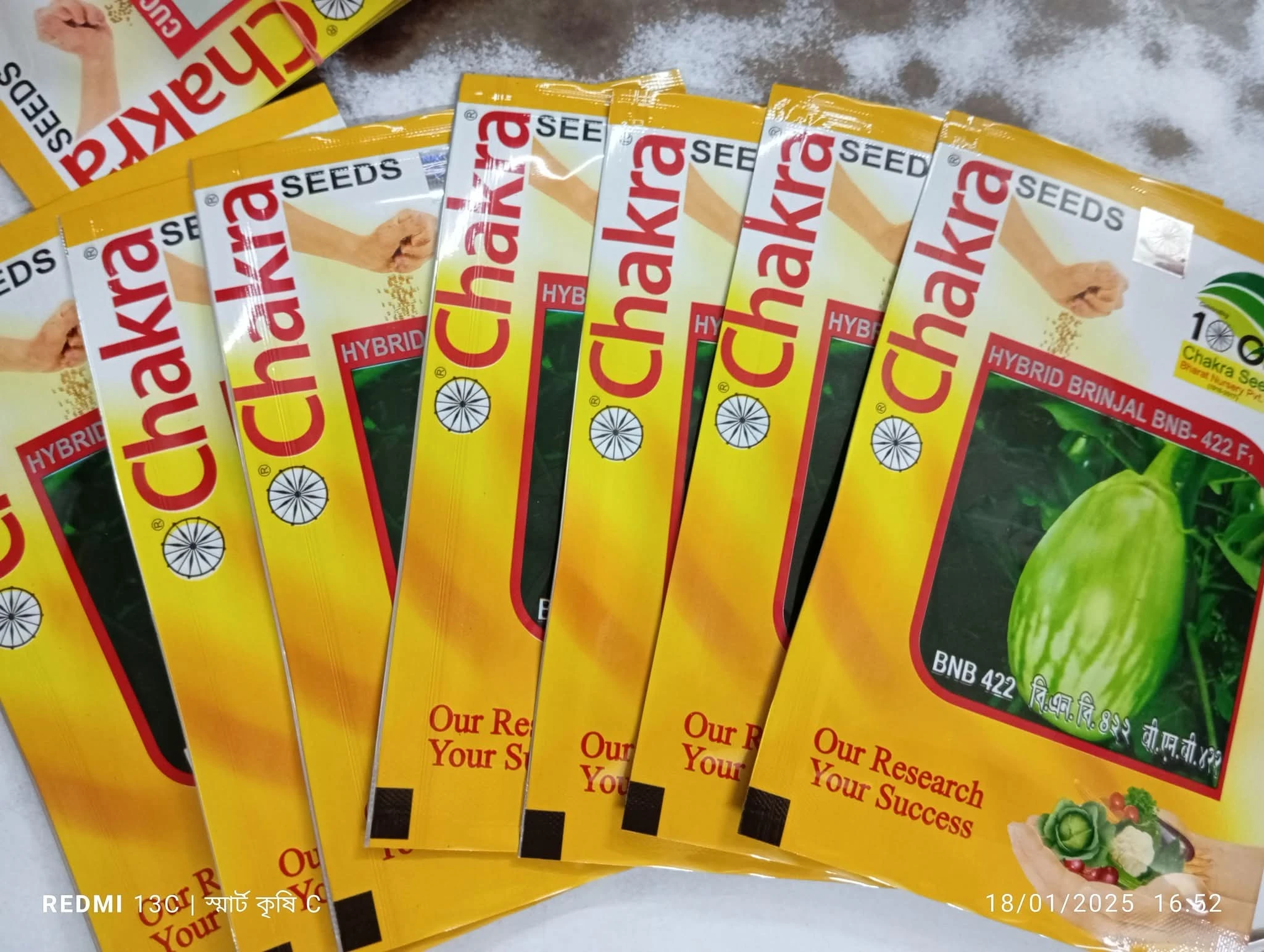 BNB 422 F1 HYBRID BRINJAL Chakra Seeds5 GM PACKET